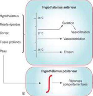 Cours hypothermie