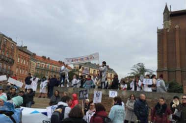 Toulouse, manifestation 20 novembre 2018
