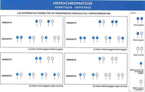 Hémochromatose génétique dépistage